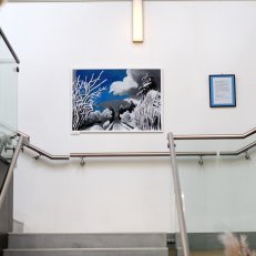 30.6.2022 Galerie Petrof v Hradci Králové